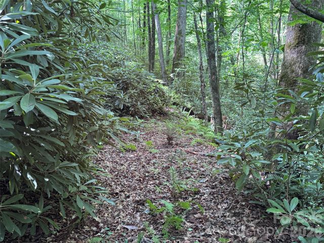 10A Reserve Road, Brevard, NC 28768