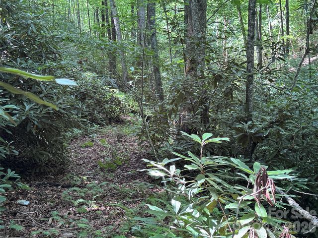 10A Reserve Road, Brevard, NC 28768