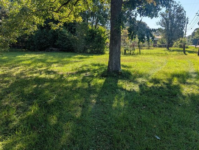 402 E 6th Avenue, Buena Vista, GA 31803