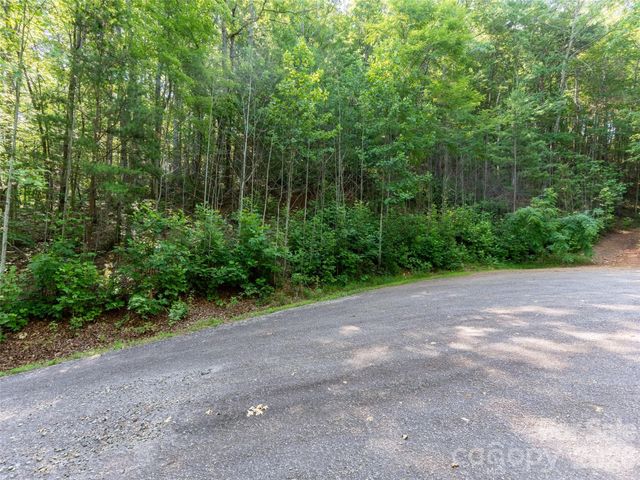 00 Rhododendron Drive 15 & 16, Saluda, NC 28773