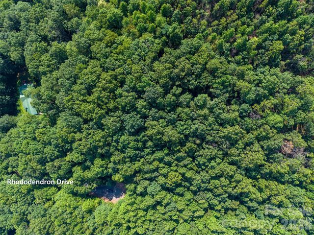 00 Rhododendron Drive 15 & 16, Saluda, NC 28773