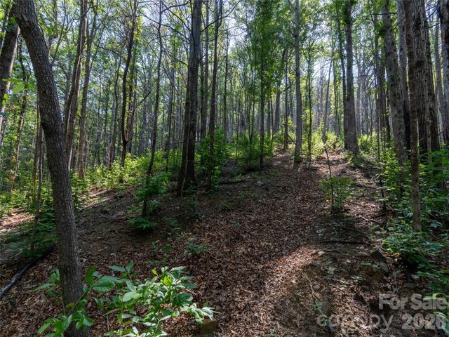 00 Rhododendron Drive 15 & 16, Saluda, NC 28773