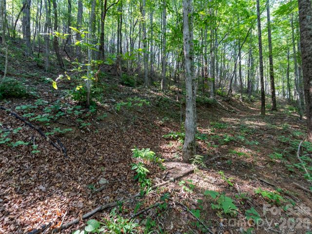 00 Rhododendron Drive 15 & 16, Saluda, NC 28773