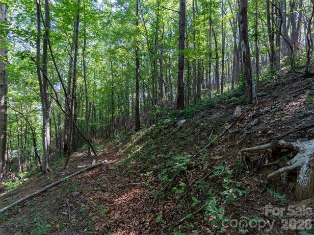 00 Rhododendron Drive 15 & 16, Saluda, NC 28773