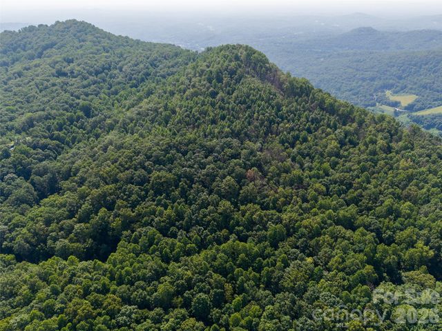 00 Rhododendron Drive 15 & 16, Saluda, NC 28773