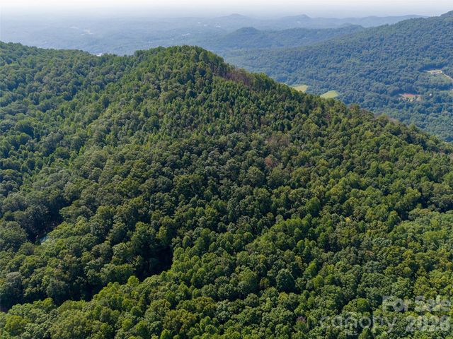 00 Rhododendron Drive 15 & 16, Saluda, NC 28773