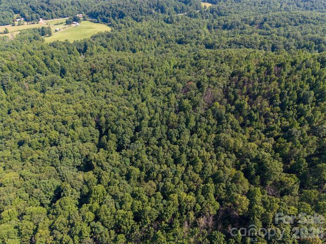 00 Rhododendron Drive 15 & 16, Saluda, NC 28773