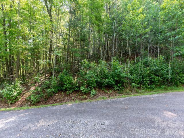 00 Rhododendron Drive 15 & 16, Saluda, NC 28773