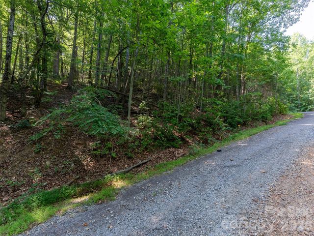 00 Rhododendron Drive 15 & 16, Saluda, NC 28773