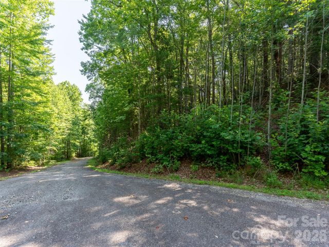 00 Rhododendron Drive 15 & 16, Saluda, NC 28773