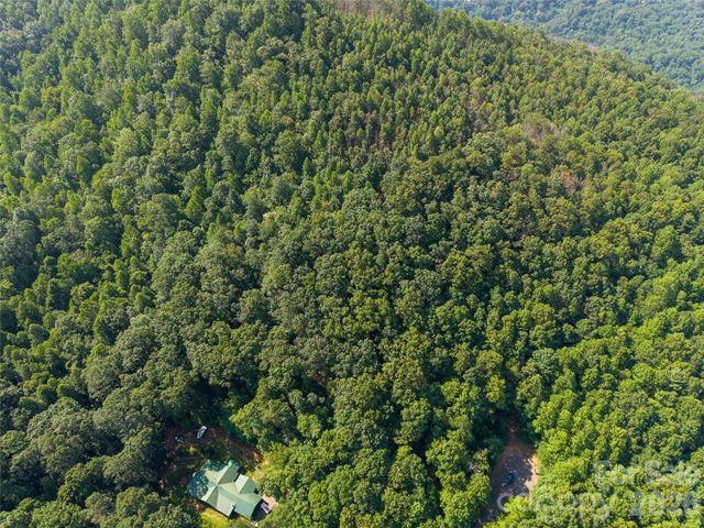 00 Rhododendron Drive 15 & 16, Saluda, NC 28773