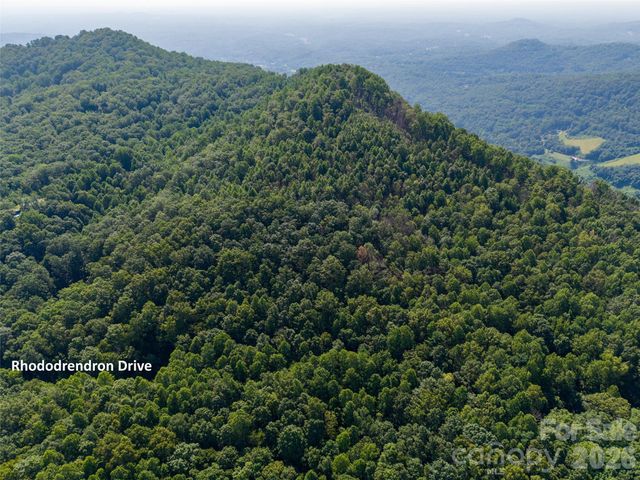 00 Rhododendron Drive 15 & 16, Saluda, NC 28773