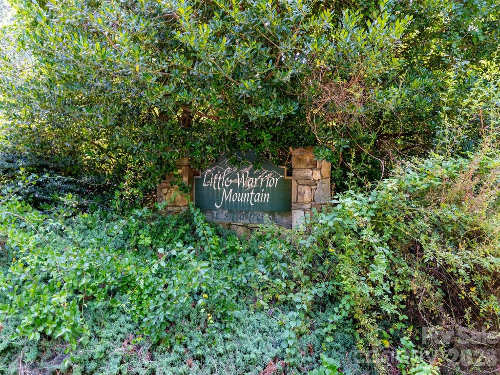 00 Rhododendron Drive 15 & 16, Saluda, NC 28773