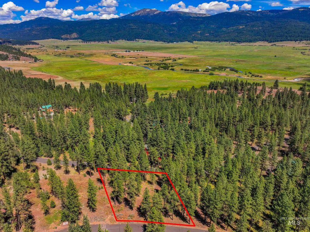 TBD Syringa, New Meadows, ID 83654