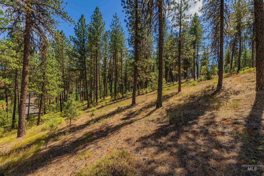 TBD Syringa, New Meadows, ID 83654 photo 11