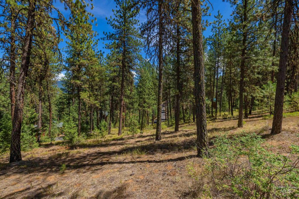 TBD Syringa, New Meadows, ID 83654 photo 12