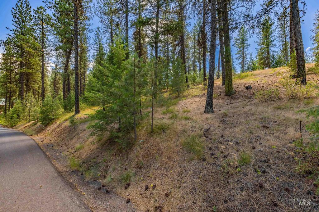 TBD Syringa, New Meadows, ID 83654 photo 15