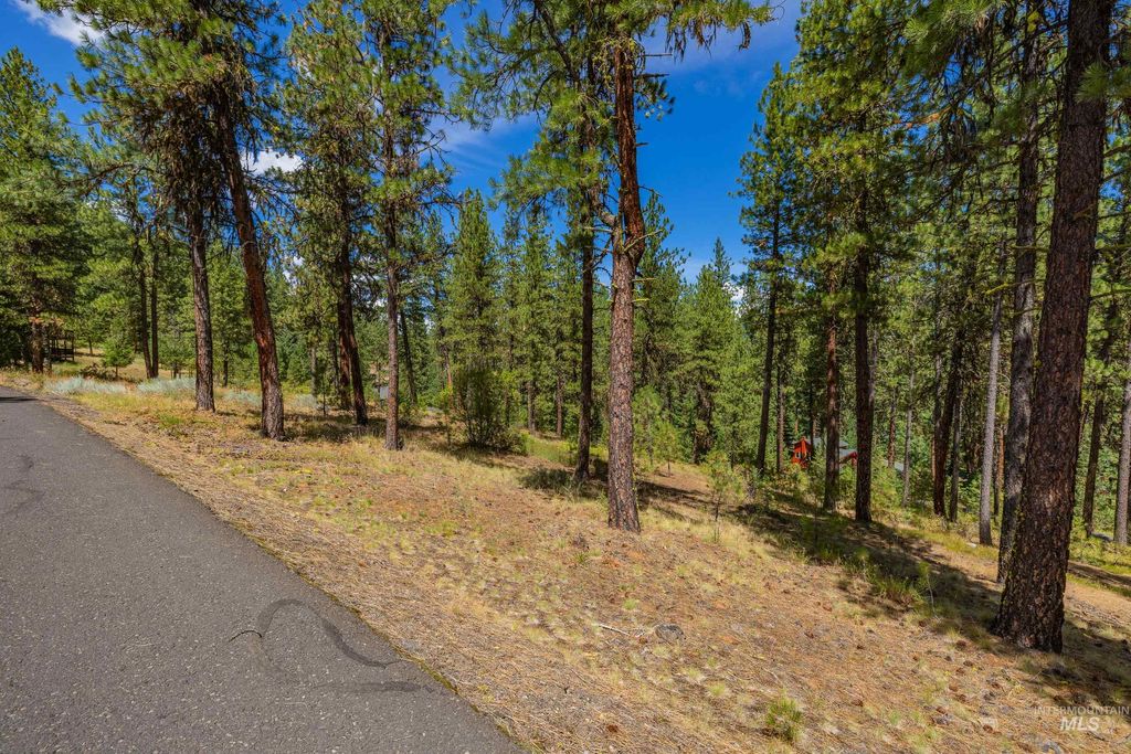 TBD Syringa, New Meadows, ID 83654 photo 17