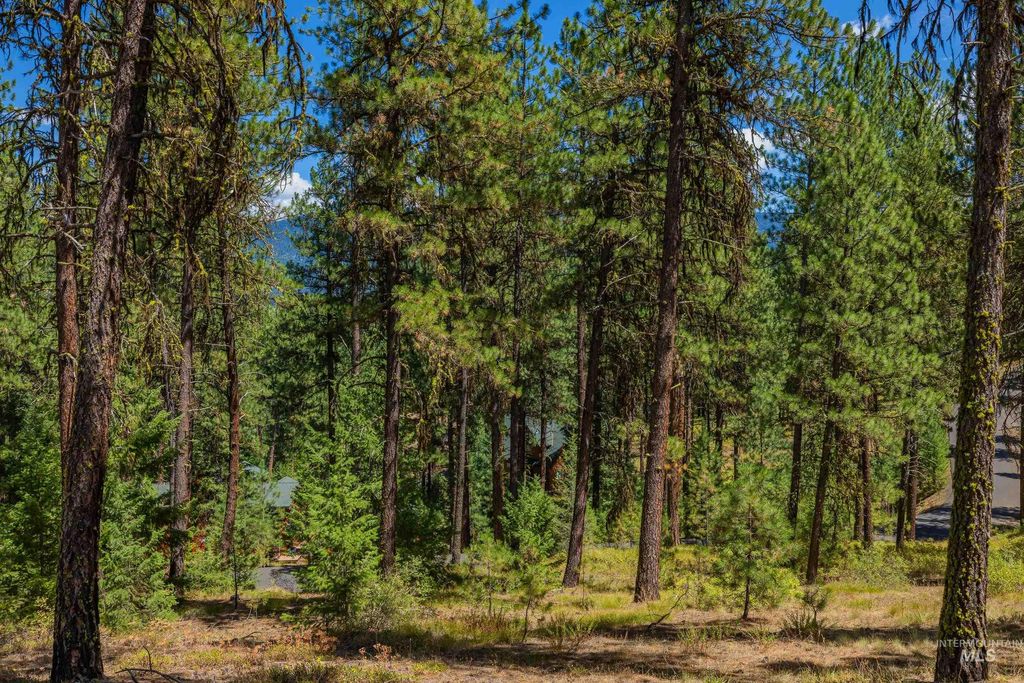 TBD Syringa, New Meadows, ID 83654 photo 6