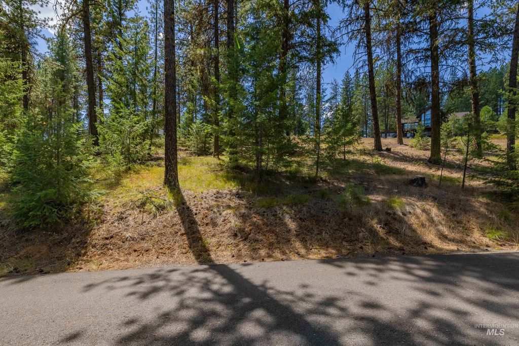 TBD Syringa, New Meadows, ID 83654 photo 7