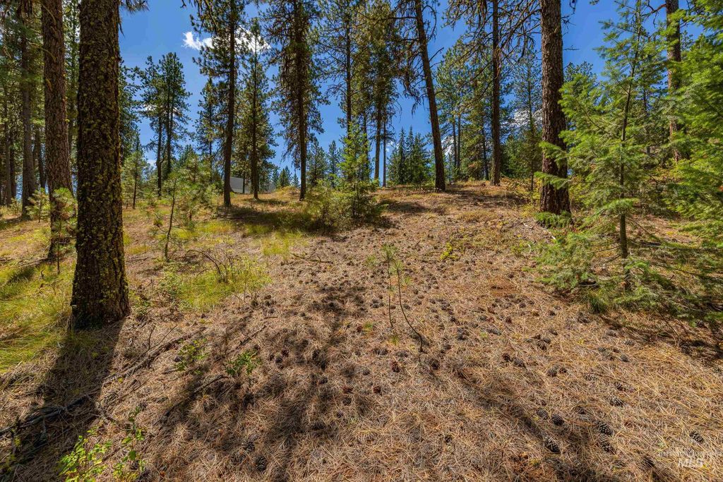 TBD Syringa, New Meadows, ID 83654 photo 8