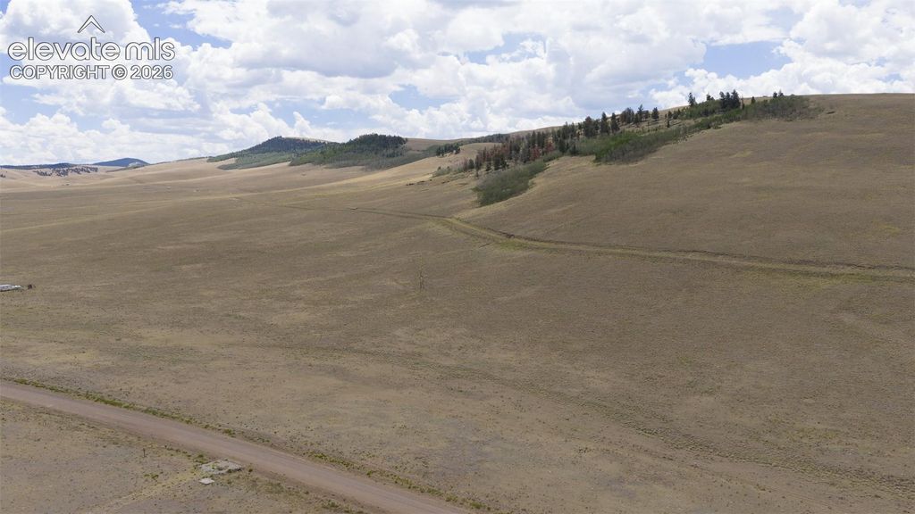 Lot 3912 County Road 53, Hartsel, CO 80449 — exterior