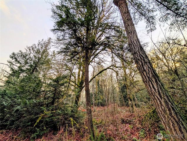 0 Whiteman Road SW, Lakebay, WA 98349