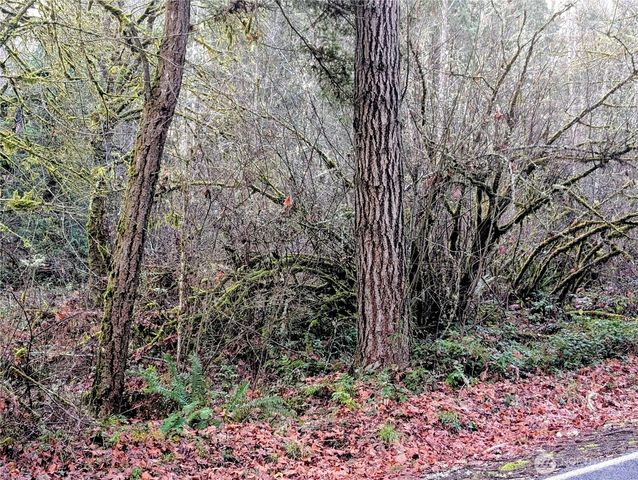 0 Whiteman Road SW, Lakebay, WA 98349