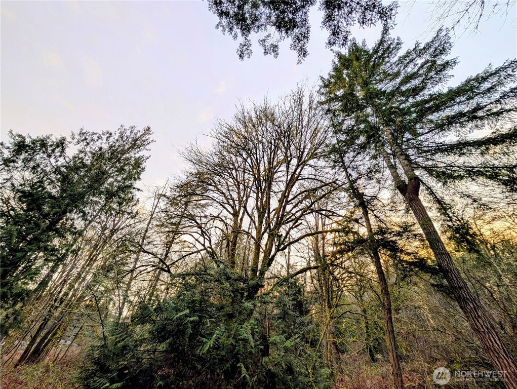 0 Whiteman Road SW, Lakebay, WA 98349