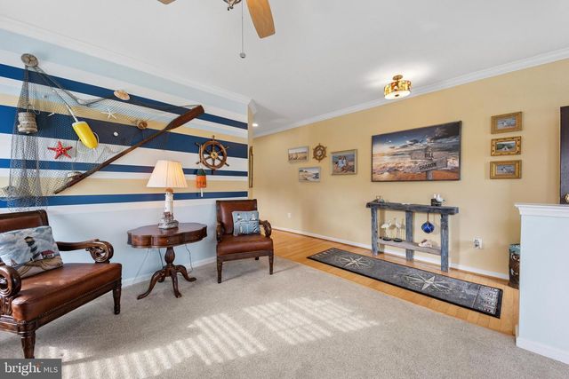 100 EMILYS PINTAIL DR, Bridgeville, DE 19933