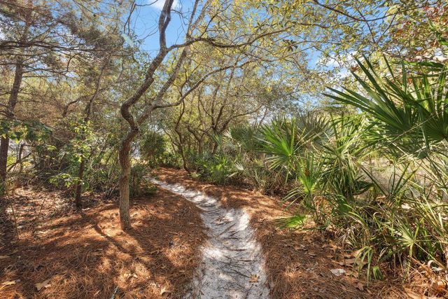 10 Creek Bridge Lane, Watersound, FL 32461