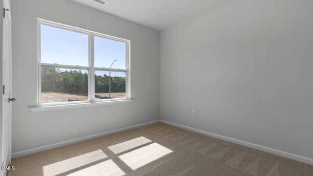 533 Swift Creek Farm Lane, Clayton, NC 27520