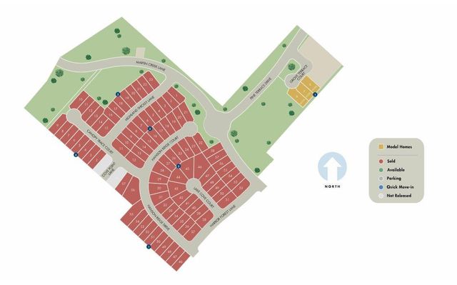 410 Gram Hill Drive, Montgomery, TX 77316