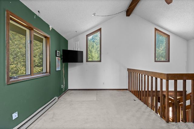 32638 Little Cub Road, Evergreen, CO 80439