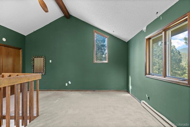 32638 Little Cub Road, Evergreen, CO 80439