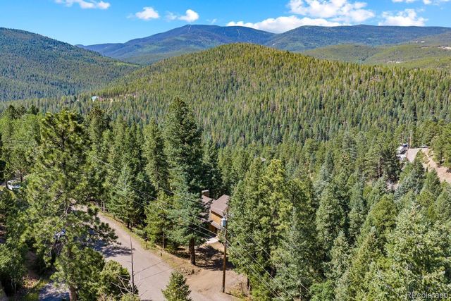 32638 Little Cub Road, Evergreen, CO 80439
