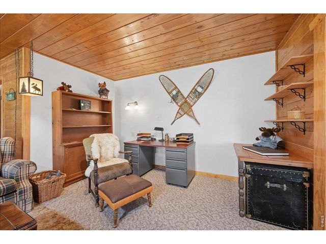 409 Shagwa Dr, Red Feather Lakes, CO 80545