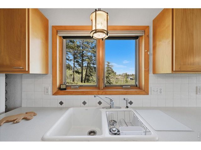 409 Shagwa Dr, Red Feather Lakes, CO 80545