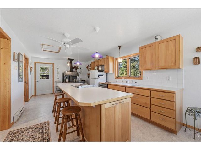 409 Shagwa Dr, Red Feather Lakes, CO 80545