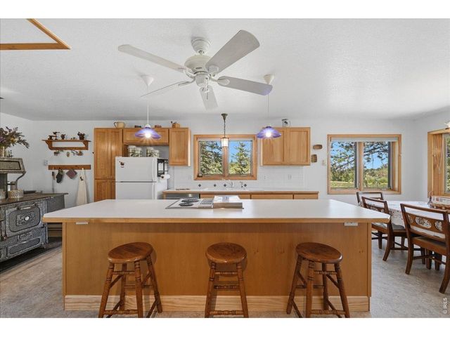 409 Shagwa Dr, Red Feather Lakes, CO 80545