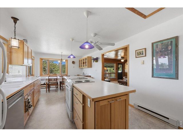 409 Shagwa Dr, Red Feather Lakes, CO 80545