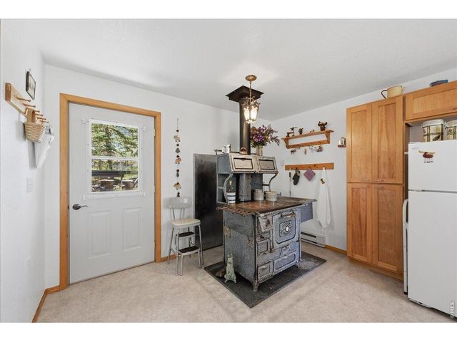 409 Shagwa Dr, Red Feather Lakes, CO 80545