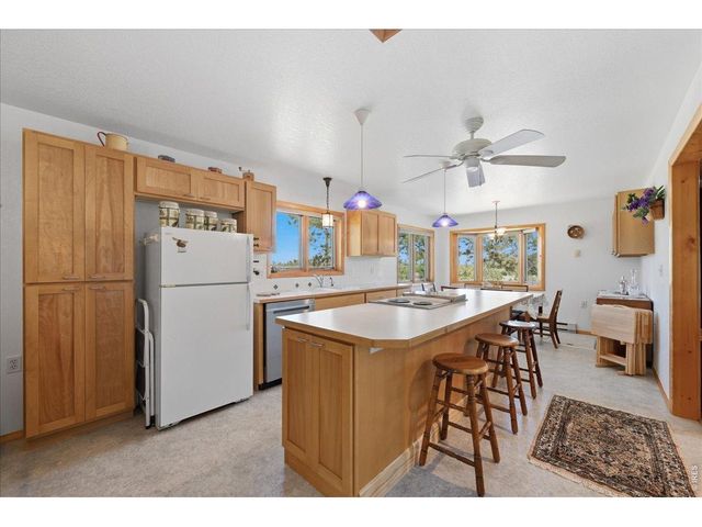 409 Shagwa Dr, Red Feather Lakes, CO 80545