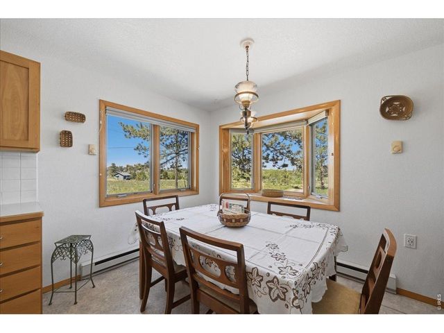 409 Shagwa Dr, Red Feather Lakes, CO 80545