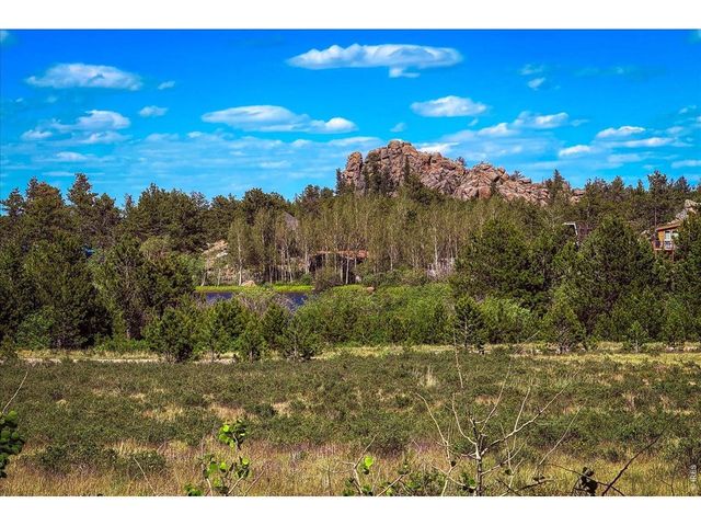 409 Shagwa Dr, Red Feather Lakes, CO 80545
