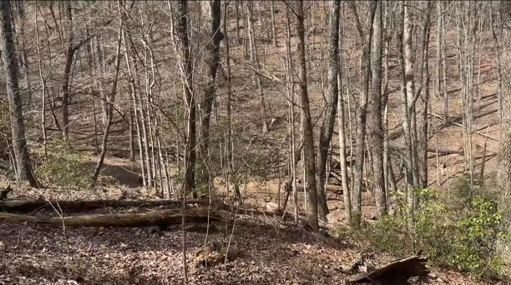 0 Valley View Drive, Jasper, GA 30143