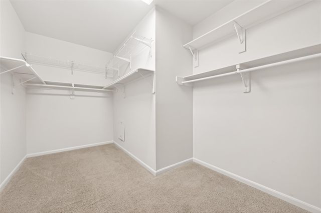 8858 Distant Woods Drive, Houston, TX 77095