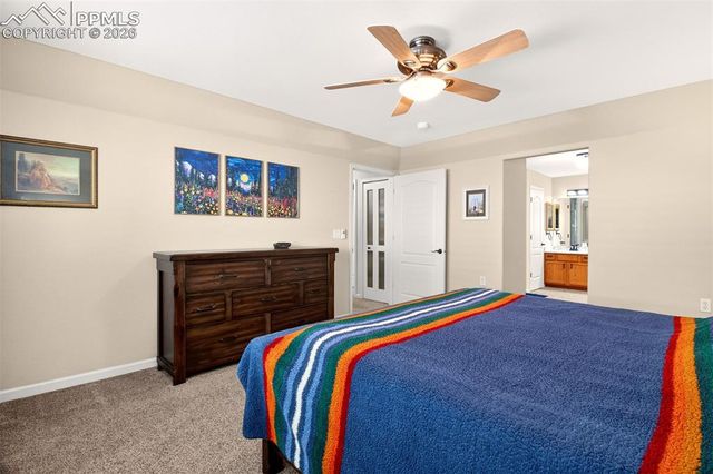 3927 Coral Point, Colorado Springs, CO 80917