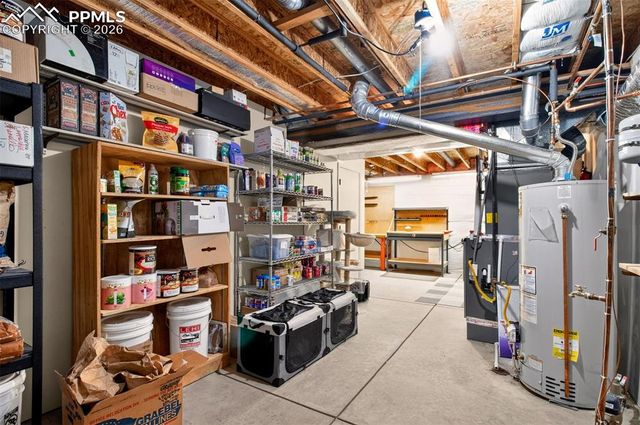 3927 Coral Point, Colorado Springs, CO 80917