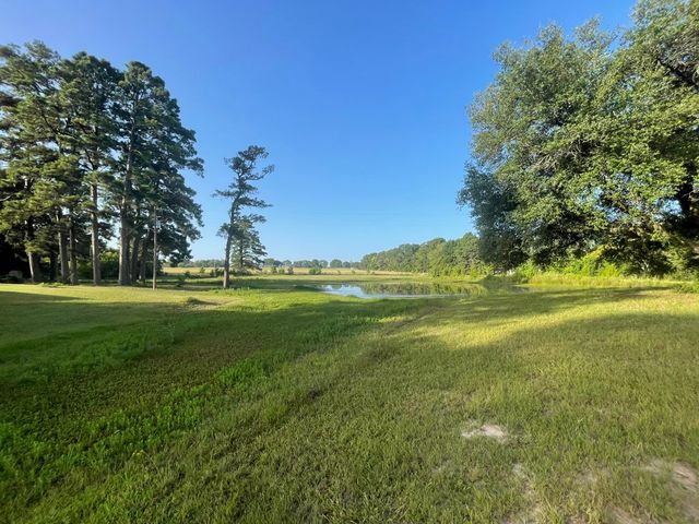 7470 FM 317, Athens, TX 75752